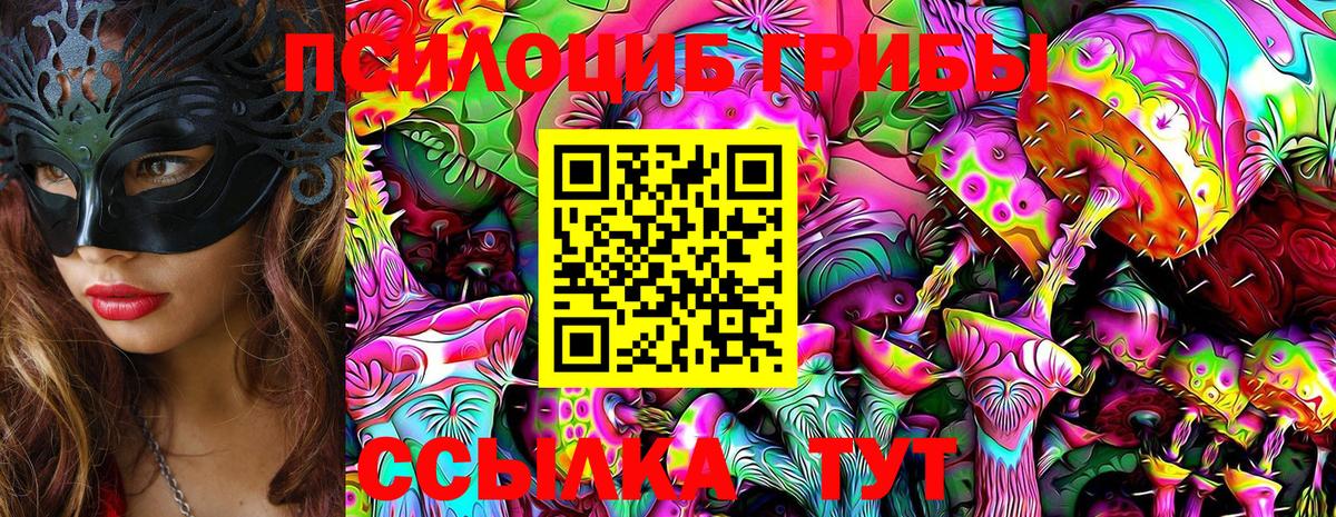 Котовск  где найти   Псилоцибиновые грибы Psilocybine cubensis  Вход с VPN  Псилоцибиновые грибы ЛСД 